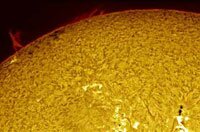 The sun in H-alpha